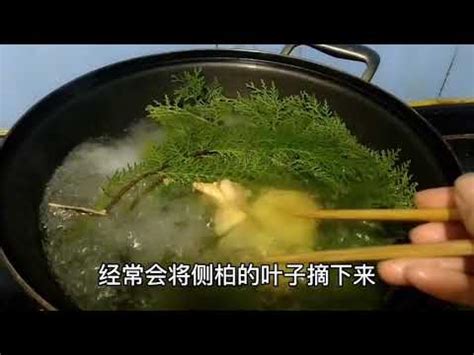 扁柏風水的禁忌|【柏葉風水】「扁柏的禁忌與風水專家解析柏葉風水的秘密」 :: 農。